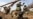 Know Your Enemy: Russian War Games Expected To Yield Valuable Insight For Western Watchers