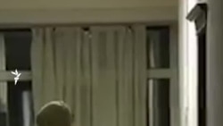 Выплаты и поддержка: Ташкент принял палестинцев и предоставляет им социальную помощь