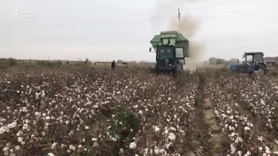 Анальды жыныстық қатынастан кейін гинекологқа барыңыз