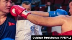 آرشیف، عکس جنبه تزئینی دارد