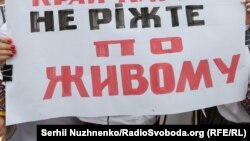 Акція протесту проти укрупнення районів під Верховною Радою. Київ, 14 липня 2020 року