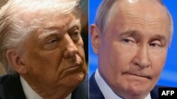 Дональд Трамп и Владимир Путин