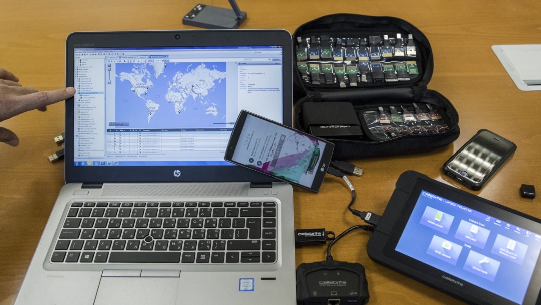 Шашты әйелдің есек фотосы