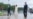 loop independenta.mp4