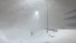 Снежный шторм на Камчатке