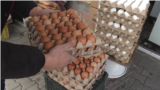 Teaser--Eggs Tadjikistan CT