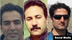 (از راست) رضا اسدی، فاضل قیطاسی، هادی کمانگر