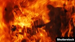 Иллюстрациялык сүрөт. 