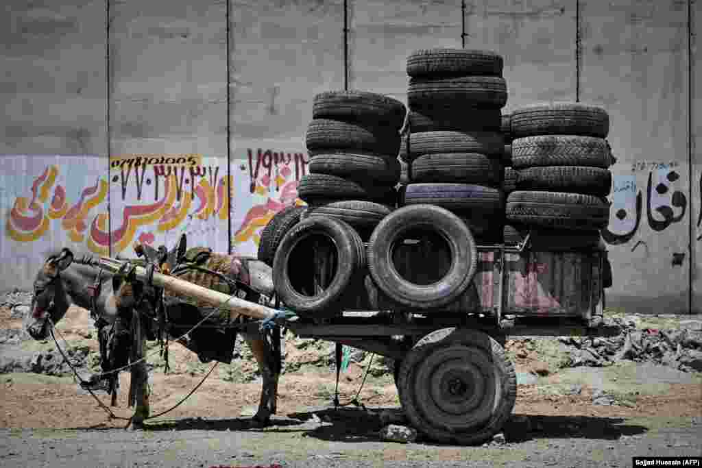 A donkey cart is loaded with tires along a roadside in Kabul, Afghanistan.&nbsp;