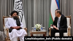 آرشیف: دیدار صدراعظم ازبیکستان با ملاغنی برادر در سال ۲۰۲۵