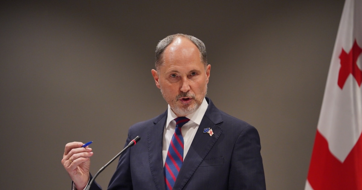 დეკემბერში გამოქვეყნდება უვიზო მიმოსვლის შეჩერებაზე ანგარიში - ევროკავშირის ელჩი