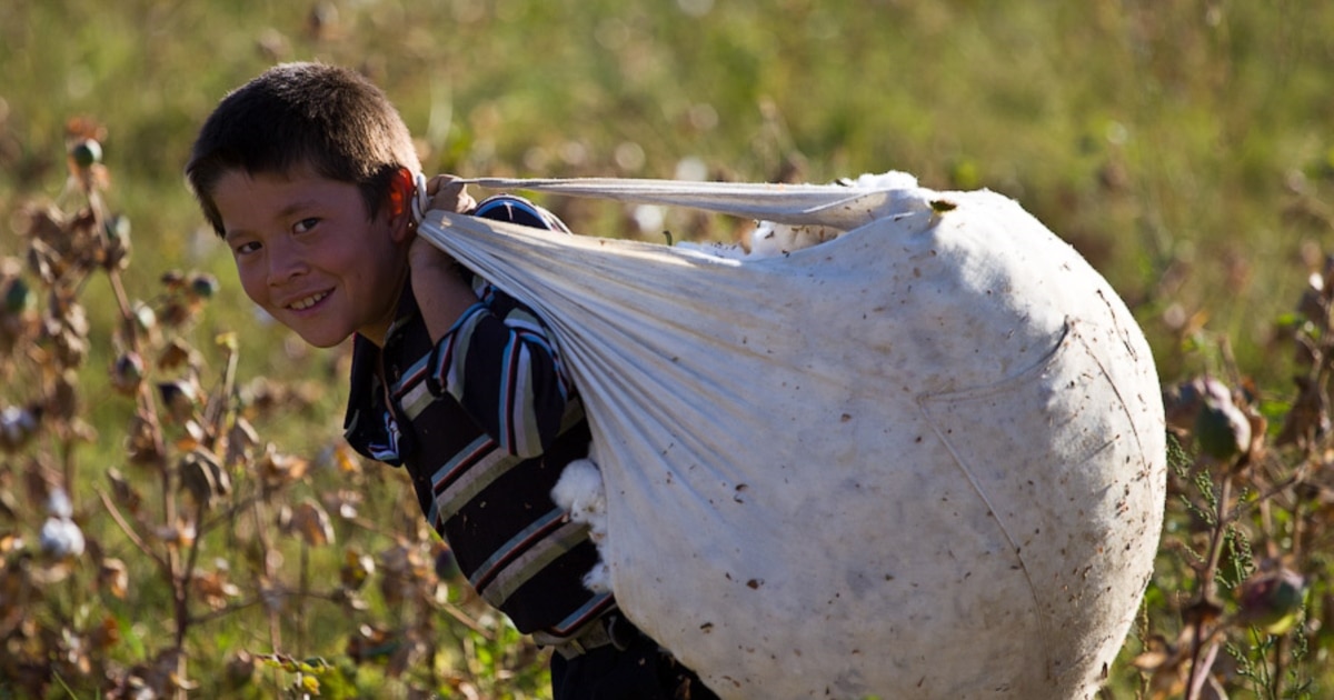 Қынап шығады