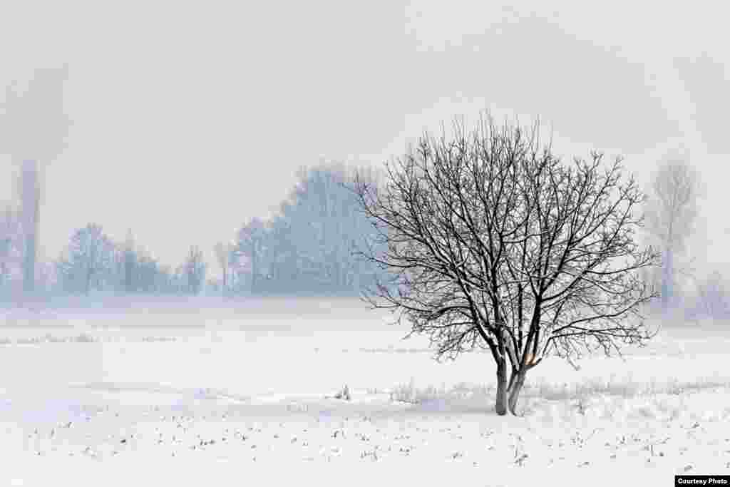 Фотографија на Владимир Арсовски.