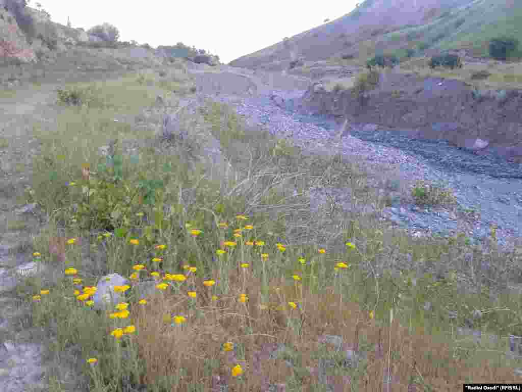 Tajikistan natura