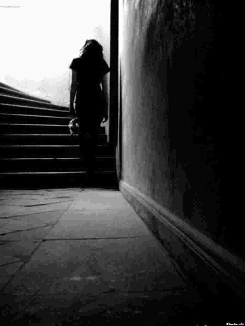 273 ნიკა ბეგაშვილი: უსათაურო