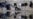 Migrants Clash With Bosnian Police Over Conditions At Camp Near Croatian Border