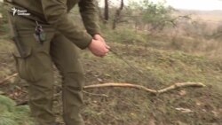 Украина мониторит прекращение огня (видео)