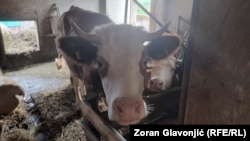 Иллюстративное фото