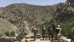 نیروهای امنیتی افغان توره بوره را دوباره از وجود داعش پاکسازی کرد