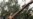 Will Femen Face A Pussy Riot-Style Crackdown?