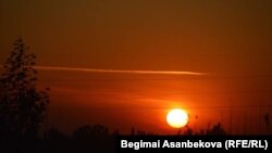 Иллюстрациялык сүрөт. 