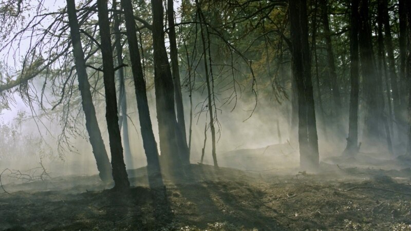 В Марий Эл из-за лесных пожаров перекрыта федеральная трасса 
