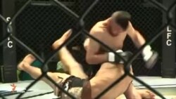 Палангҳои афғон ба майдон баромаданд