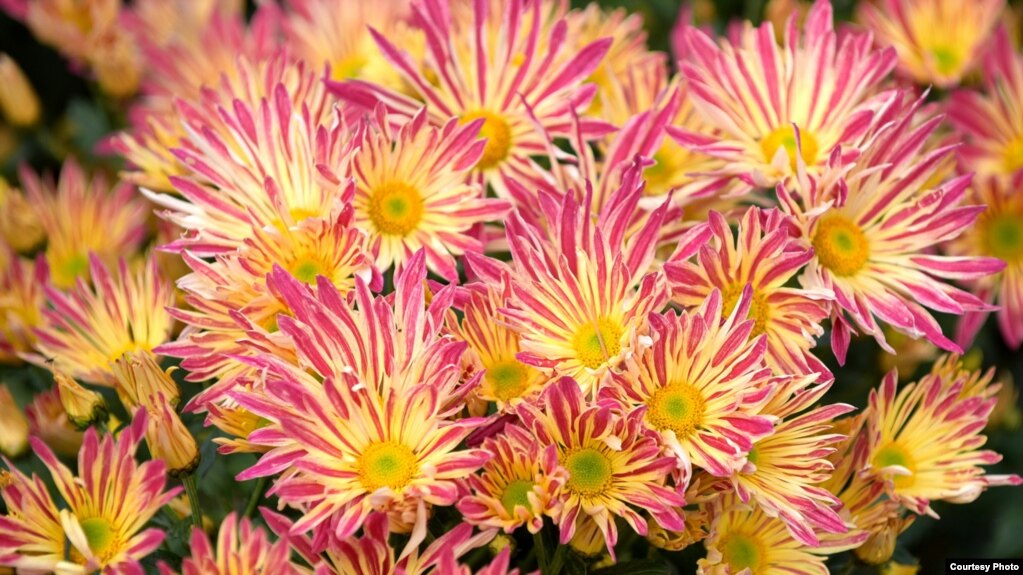 d09f068c-9972-4bd6-97a4-8025005ea594_w10