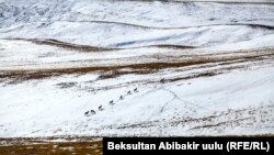 Кыргызстан.