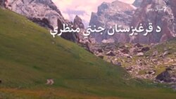 د قرغیزستان د جنتي منظرو سېل