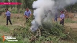 Настоящее Время – Азия. 30 июля 2016