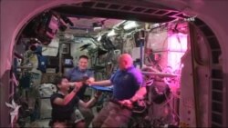 Kosmosda ilk dəfə tər göyərti yeyiblər