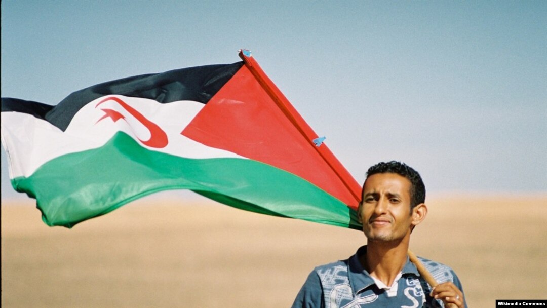 Сахариец с флагом Сахарской Арабской Демократической республики