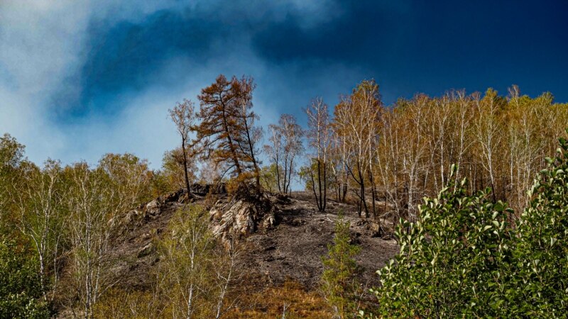 В 20 районах Удмуртии до 4 сентября запретили посещать леса