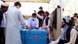 په خوست کې ډاکترانو د بې وزلو وړیا معاینې کړې دي