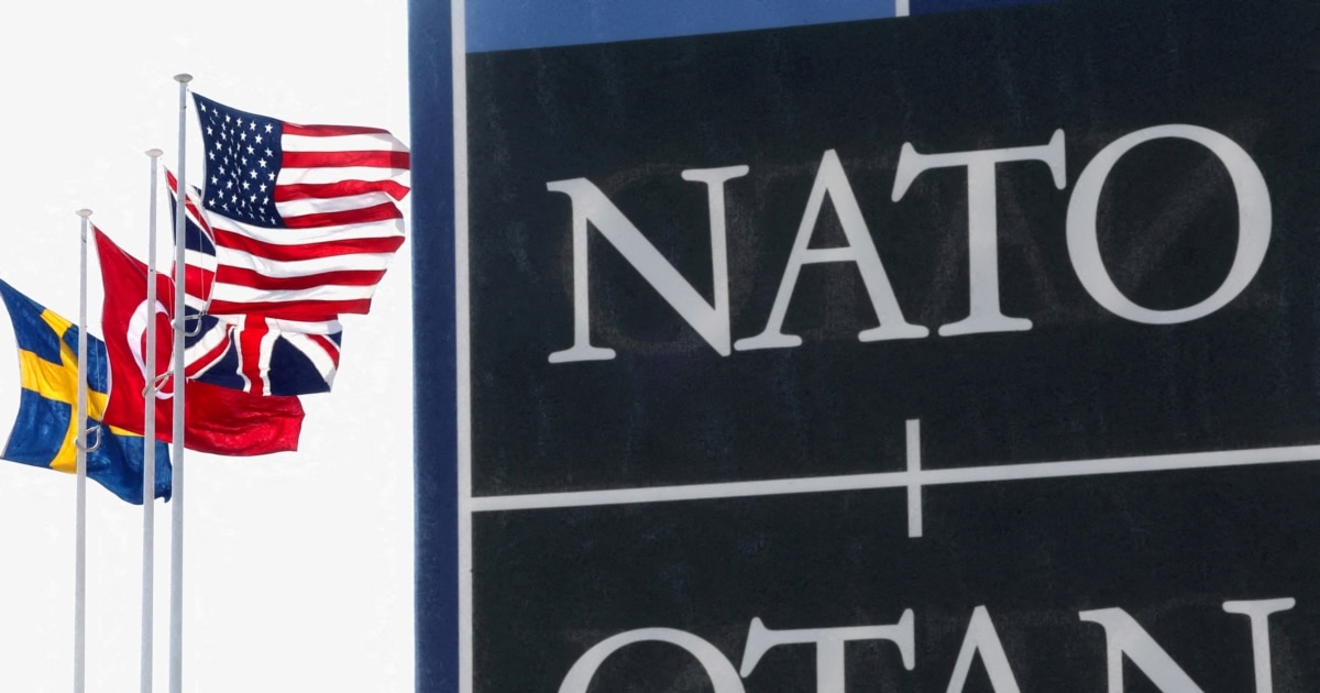 Trump-Zelenskyy Meeting Set For NATO Summit Amid US Push To End Russia's War