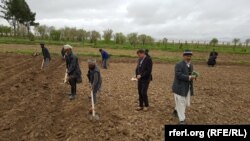 وزارت زراعت برای ۶ هزار دهقان زمینه دریافت قرضه را فراهم خواهد کرد