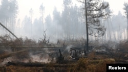 Лісова пожежа, що спалила 3000 гектарів, є найбільшою в історії Бельгії, значно перевершуючи пожежу 2011 року, яка охопила майже 1400 гектарів