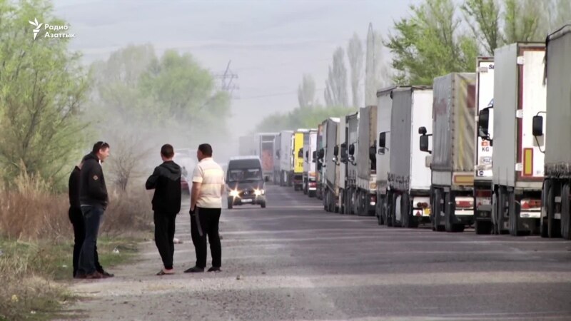 Сотни фур застряли на кыргызско-казахской границе