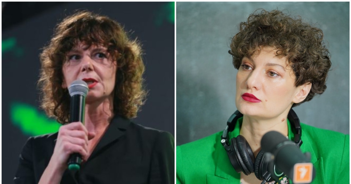 თამარ ჩერგოლეიშვილმა ბაია პატარაიას ცილისწამების საქმემოუგო