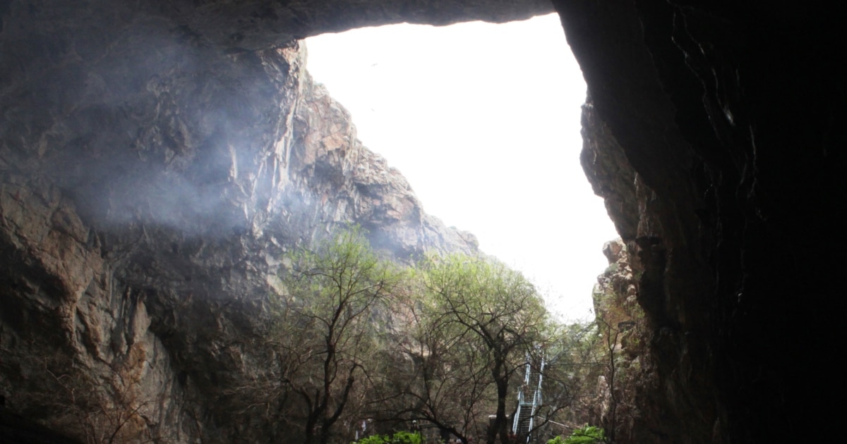 Үлкен фаллусы бар қыздың видеосы