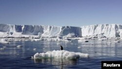 The Ukrainian expedition to Antarctica will include seven scientists. (file photo)