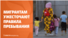 Россия ужесточает правила пребывания мигрантов, узбекистанца обвиняют в ДТП в США