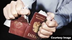 ილუსტრირებული ფოტო