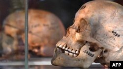 Lobanje ubijenih iz naroda Herero i Nama izložene su bile u Berlinu 2018. godine, pre nego što je Nemačka predala posmrtne ostatke 20 žrtava iz ove dva naroda koje su ubile nemačke trupe, a kasnije korištene u eksperimentima