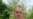 Returning To Srebrenica