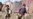 UN: Many Afghans In ‘Absolute Poverty’