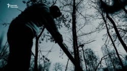 "Апамдын сөөгүн Түркиядагы токойдон таптык"