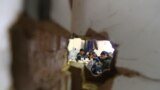 Muncitori migranți fotografiați la Moscovo în cursul unui raid al poliției