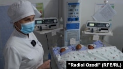 Cегоник дар таваллудхонаи Шаҳринав